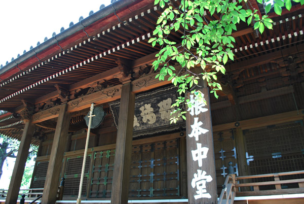 ���{����