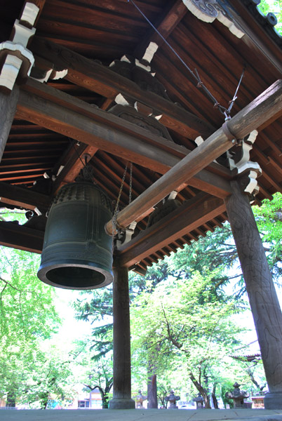 ���i���̏�