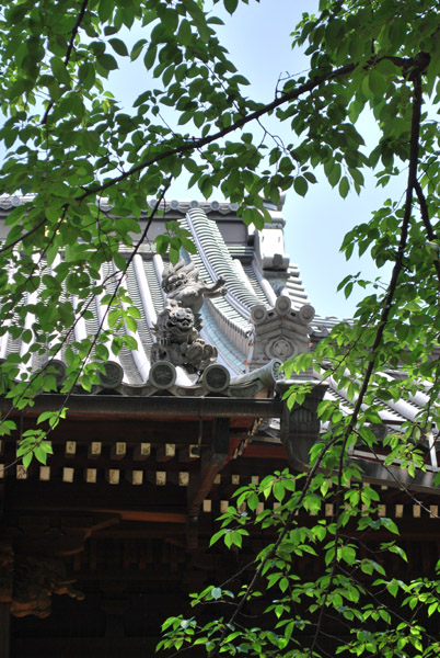 ���{����