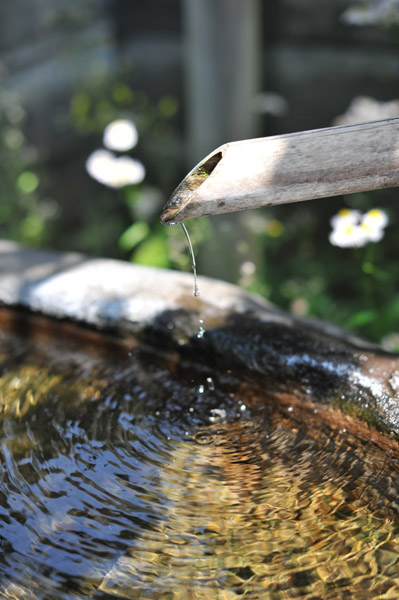 ������_�Ђ̎萅