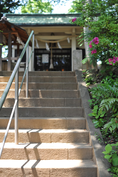 ���`�_��