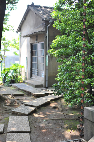 ���`�_��