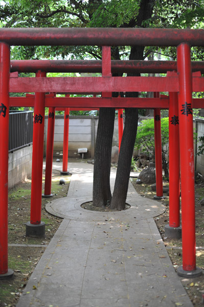 �Ќ���ד��̎Q��