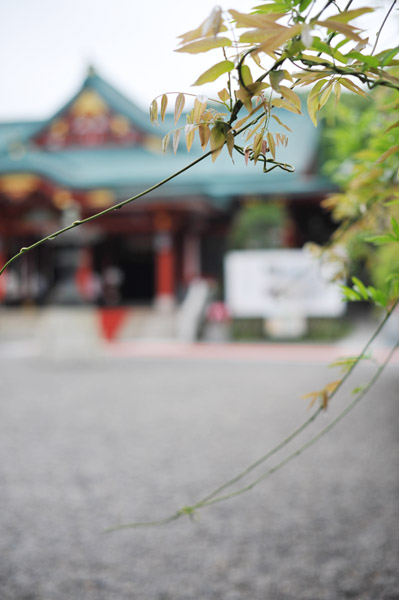 �R�����}�_��