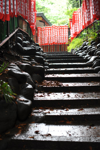 �R�����}�_�Ђ̎Q��