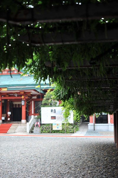 �R�����}�_�Ђ̓��I