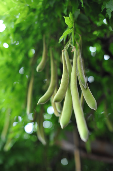 �R�����}�_��