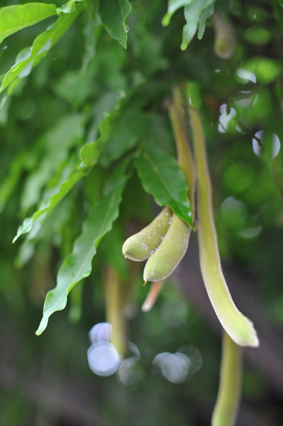 �R�����}�_��