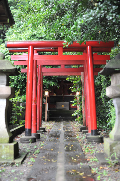 ����חl�̒���