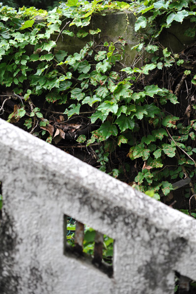 �����e������