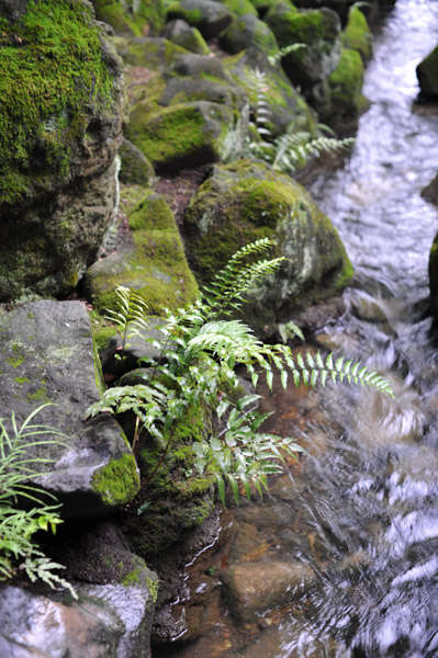 �����e������