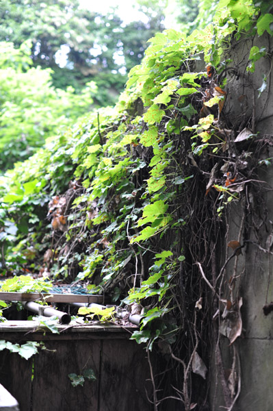 �����e������