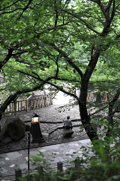 �����e������