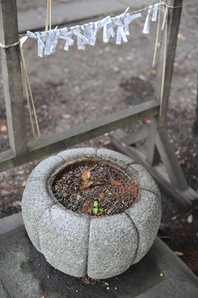 ���q�_��