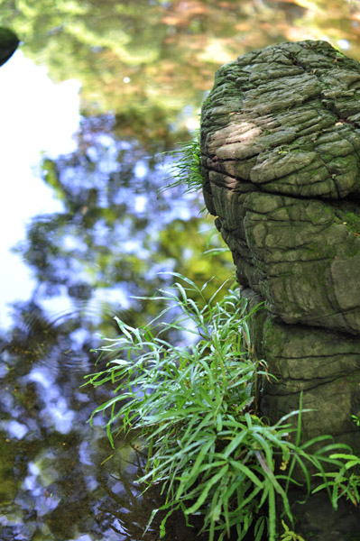 ���ΐ��y��