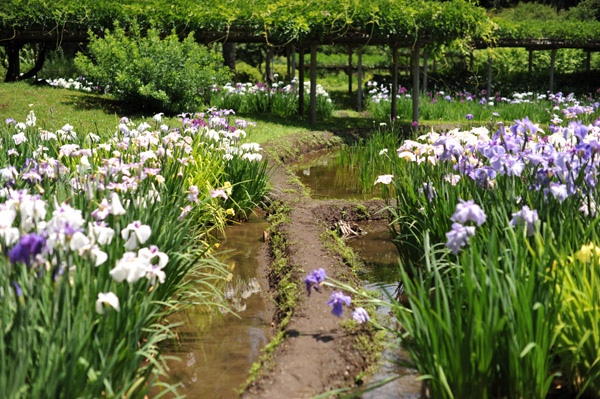 ���ΐ��y���̏Ҋ��̉�