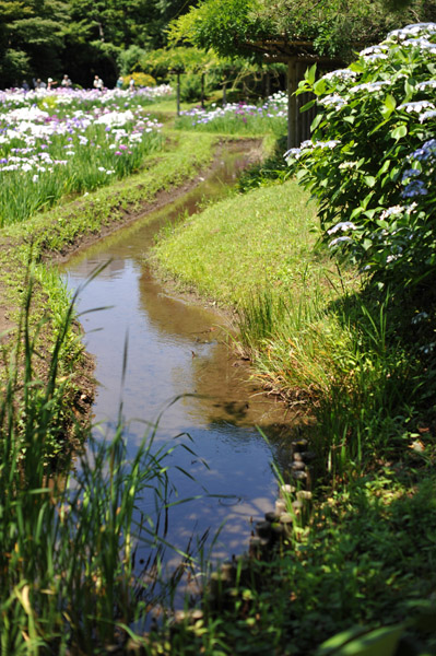 ���ΐ��y���̏Ҋ��̉�