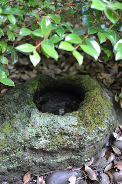 ���ΐ��y��