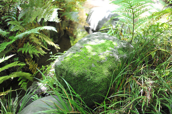 ���ΐ��y��