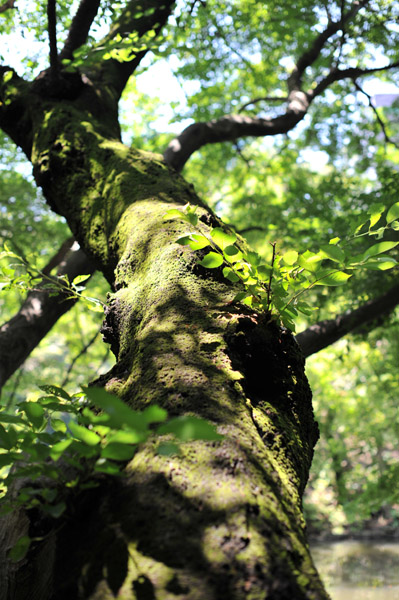 ���ΐ��y��