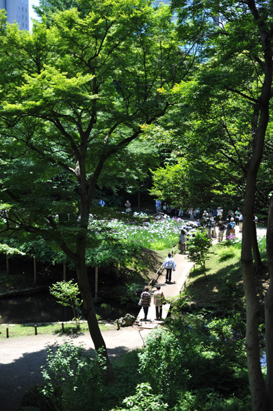 ���ΐ��y��