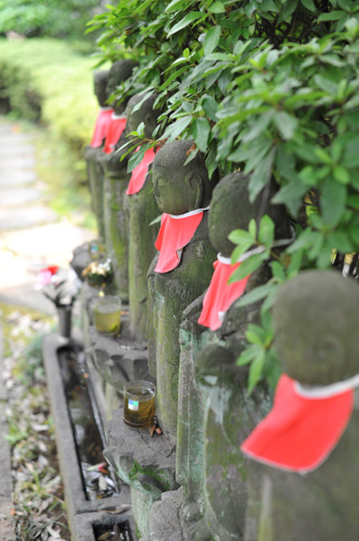 �����R���{�@