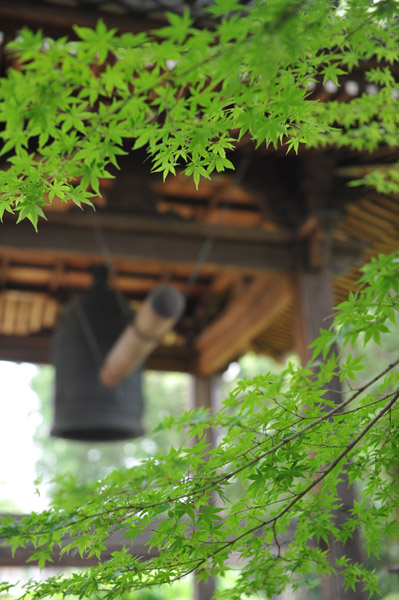 �����R���{�@