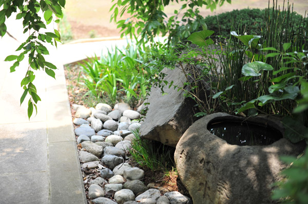 �����R���{�@