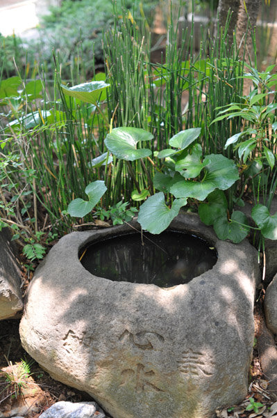 �����R���{�@