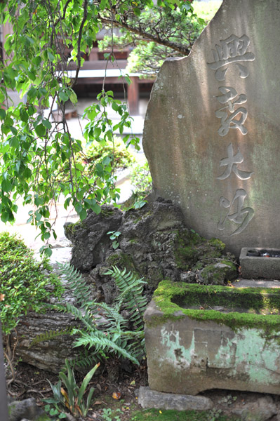 �����R���{�@