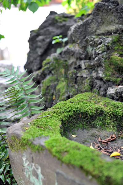 �����R���{�@