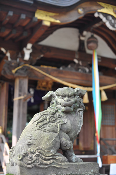 �t���_��