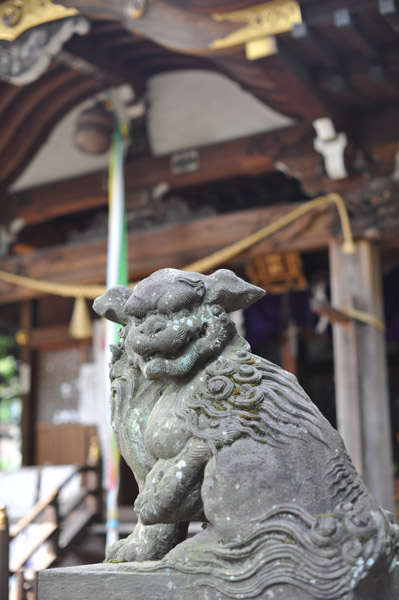 �t���_��