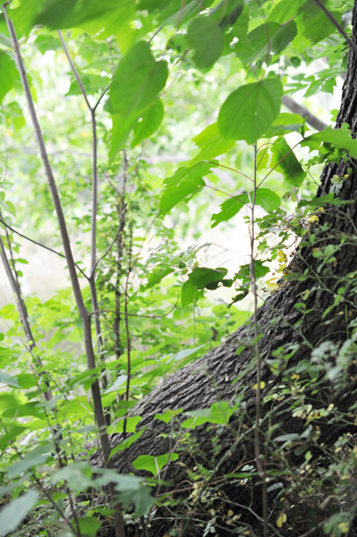 �ΐ_�����