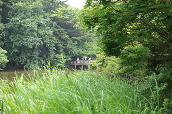 �ΐ_�����