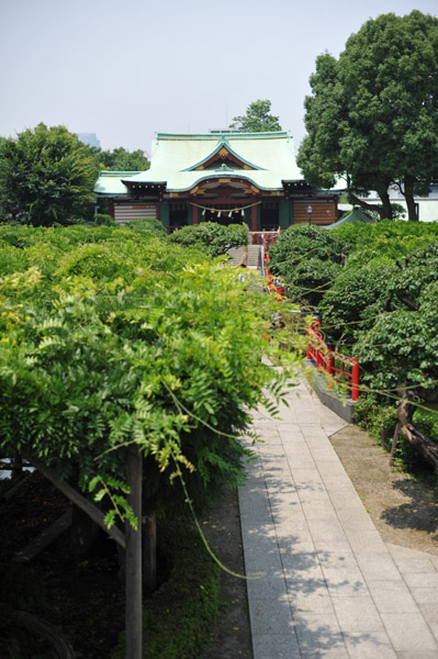 �����̊w��̐_�l�@�T�˓V�_