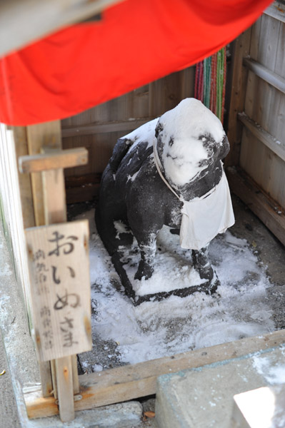 �����̊w��̐_�l�@�T�˓V�_