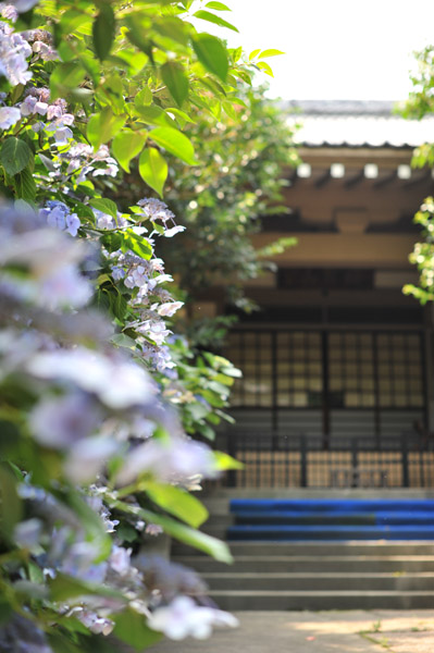 ���ڎR�P�䎛����@�i�T�ˁj�̋����̕��i