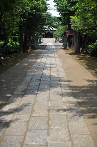 ����_�Ђ̎Q��