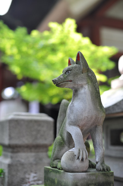 �V�c�_��(�T��)�̑��Y���