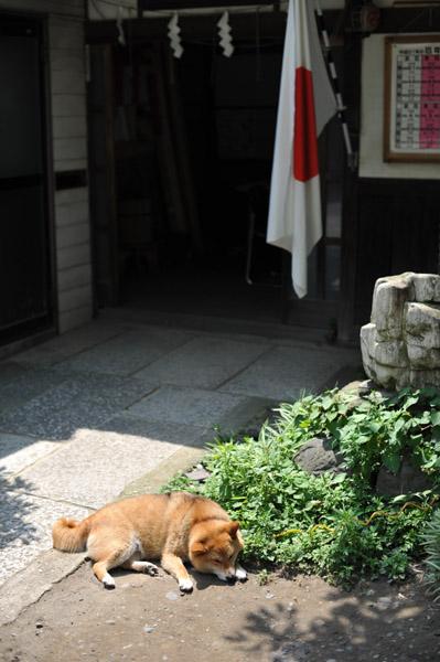 �V�c�_�Ђ̔Ԍ��N