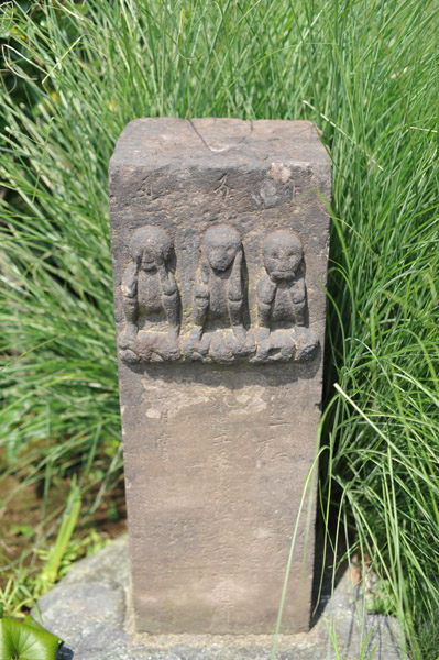 ���᎛�̍M�\��