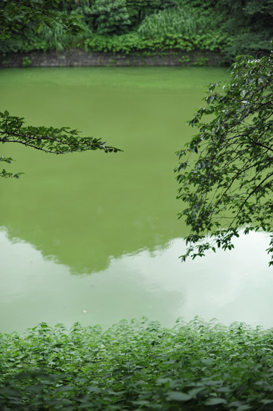 �璹�����Γ�����̕��i