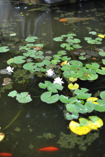 �����s��v�җ쉑