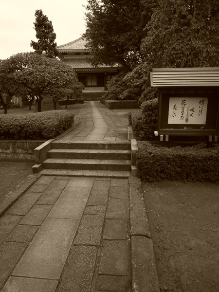 �����̓��j��