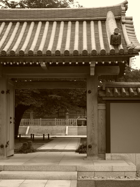 �����̒q����