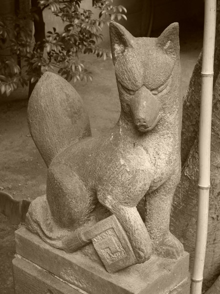 �����̒q����