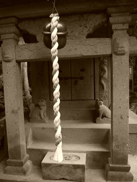 �����̒q����