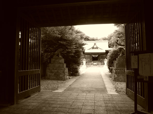 �����̕X��_��