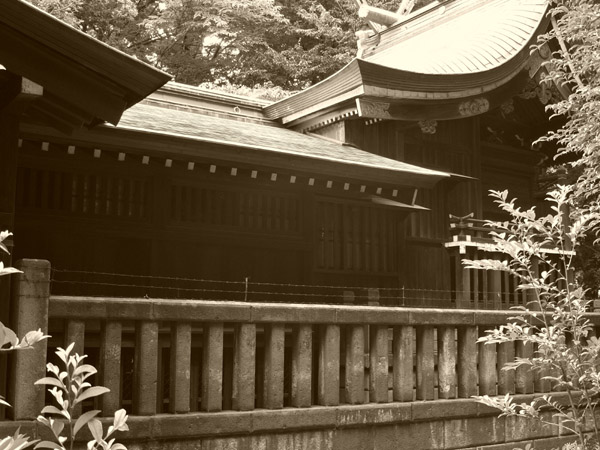 �����̕X��_��